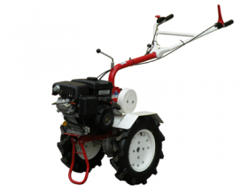 78406